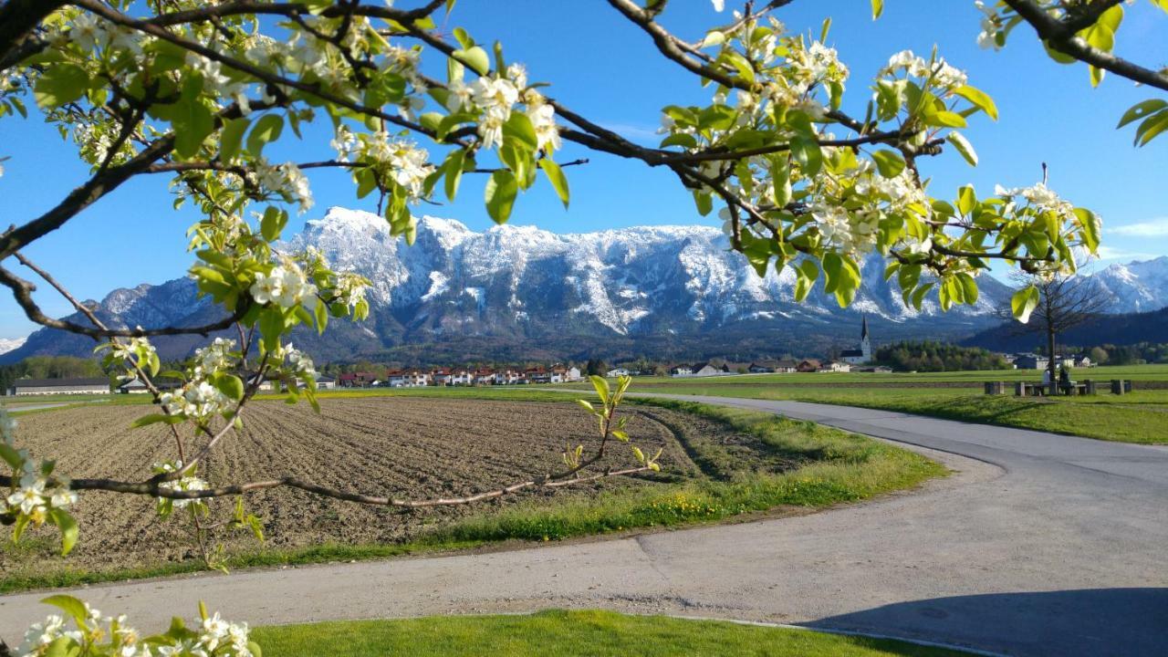 Vor Den Toren Salzburgs Daire Wals-Siezenheim Dış mekan fotoğraf